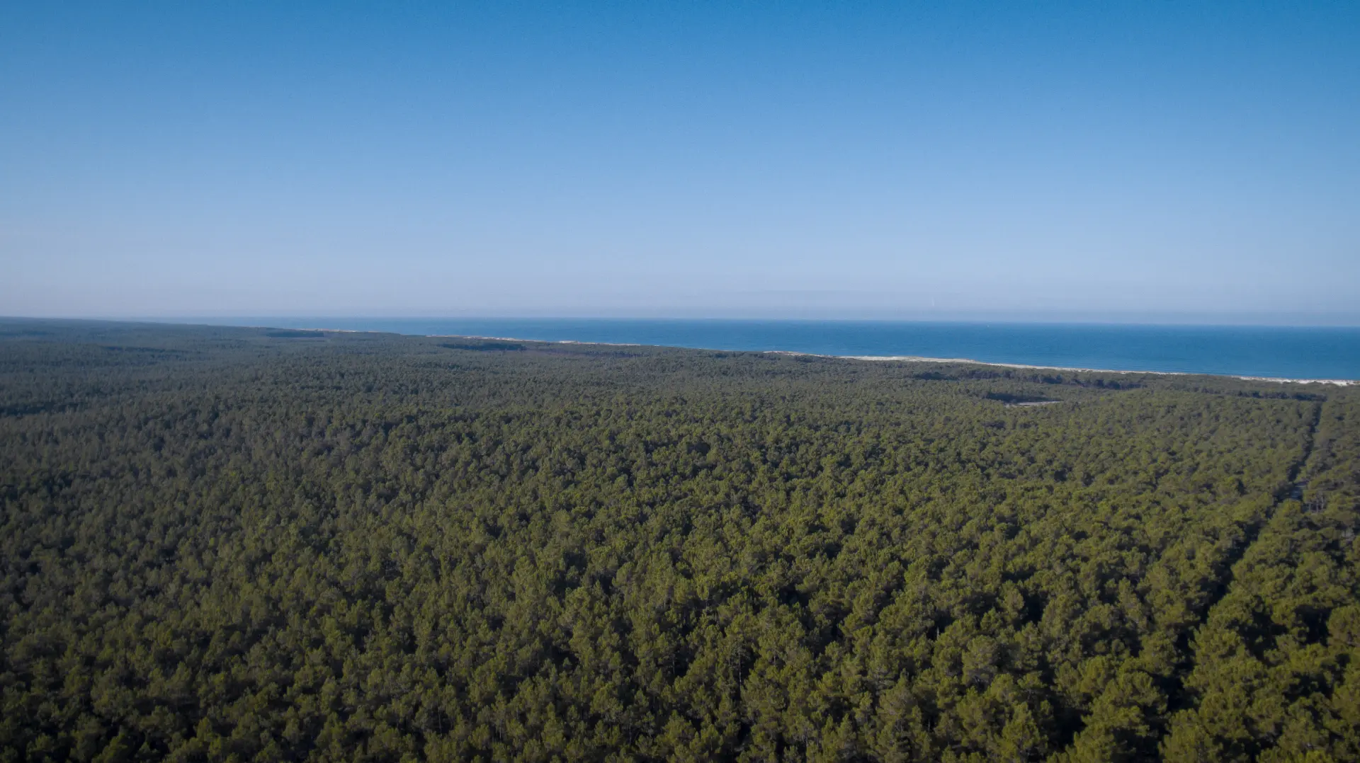 photo reserve naturelle hourtin