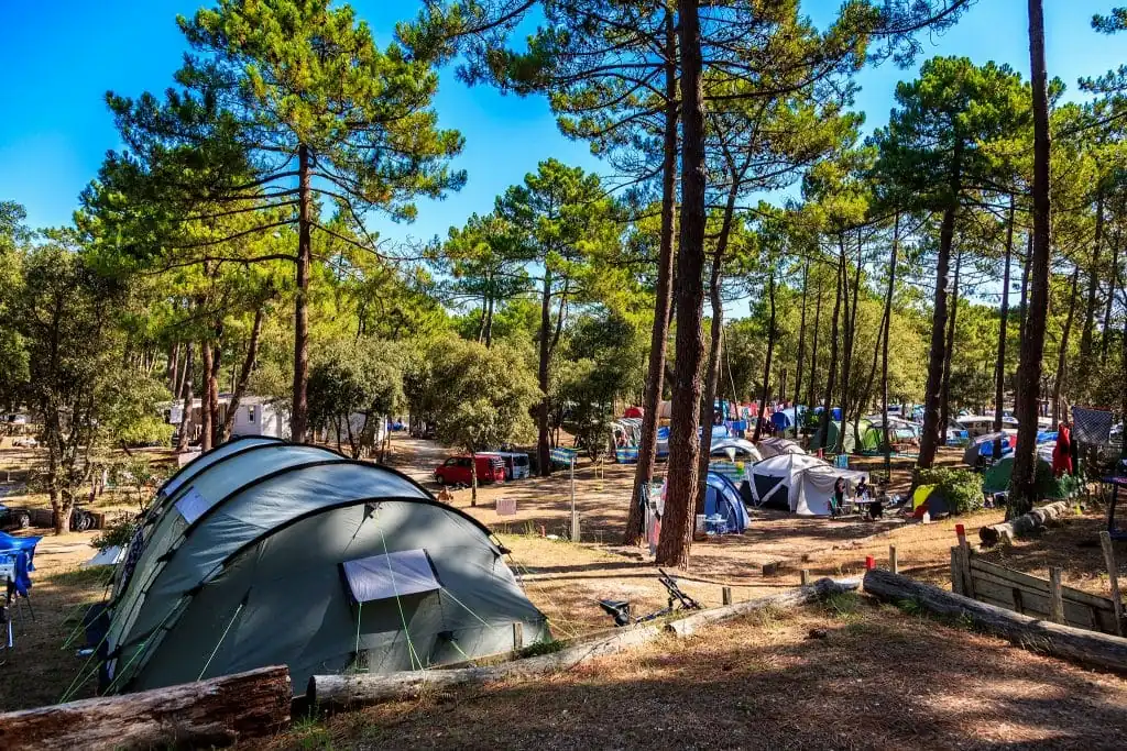 location emplacement gironde 1024x683 1